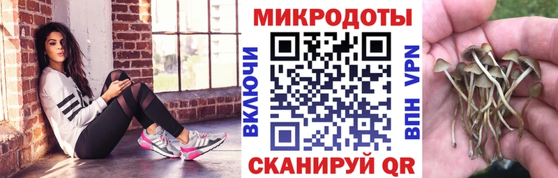 Псилоцибиновые грибы Magic Shrooms  blacksprut   Ирбит  где продают наркотики 